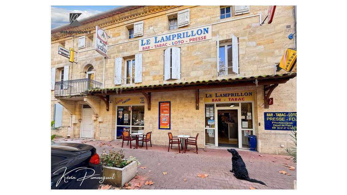 Fonds de commerce bar à vendre à Sainte Terre (33)