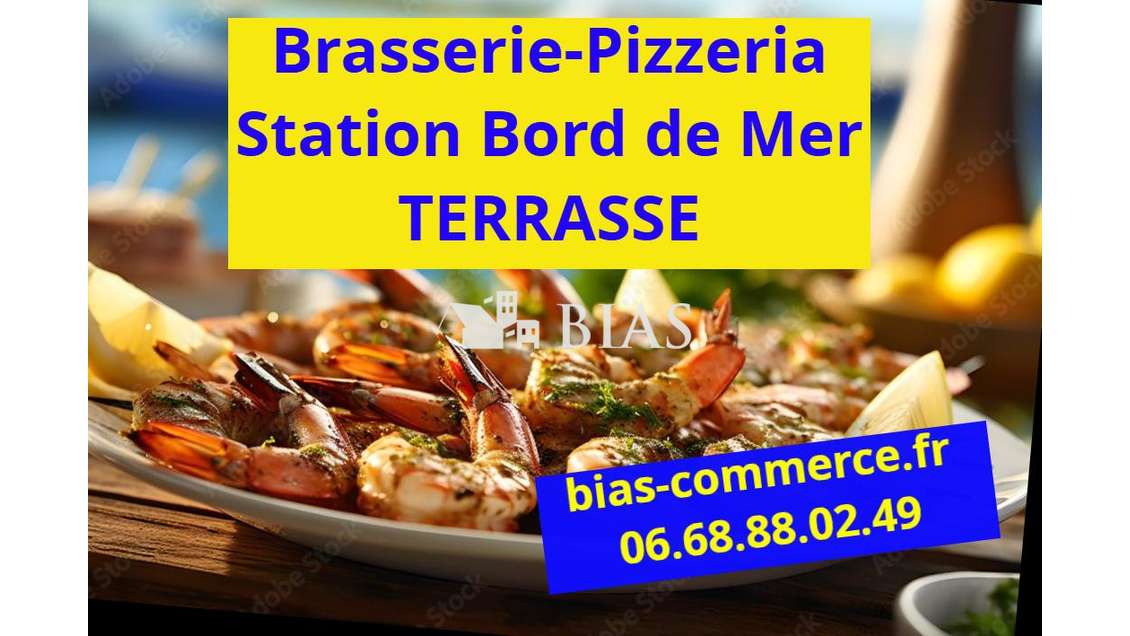 Vente brasserie pizzeria terrasse bord de mer 76
