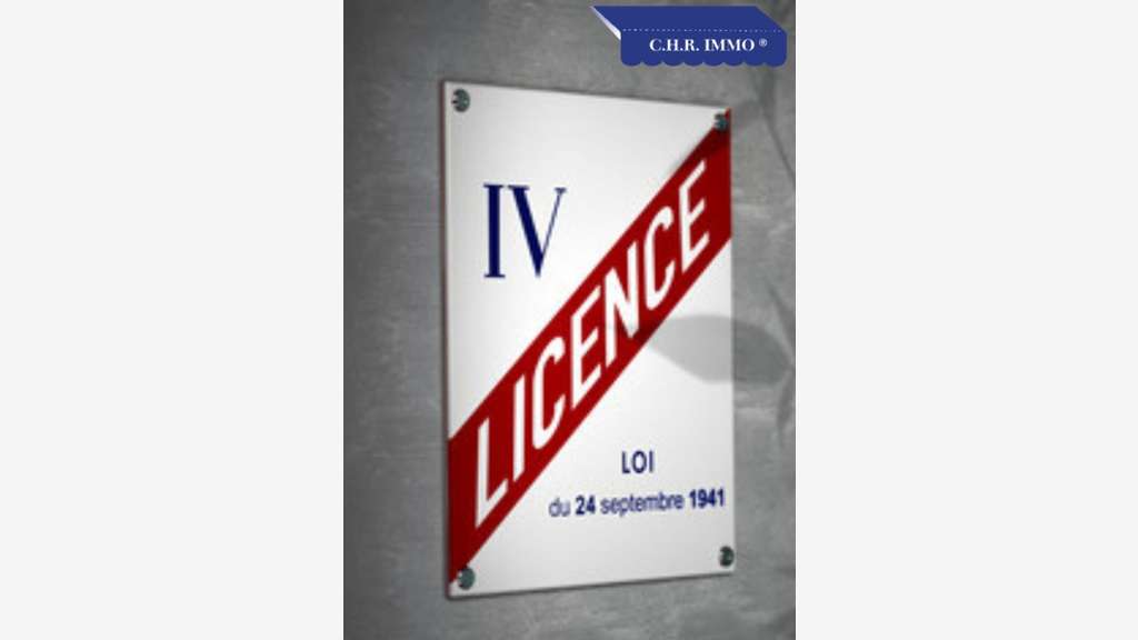 Vente bel établissement brasserie côte Sud Landes