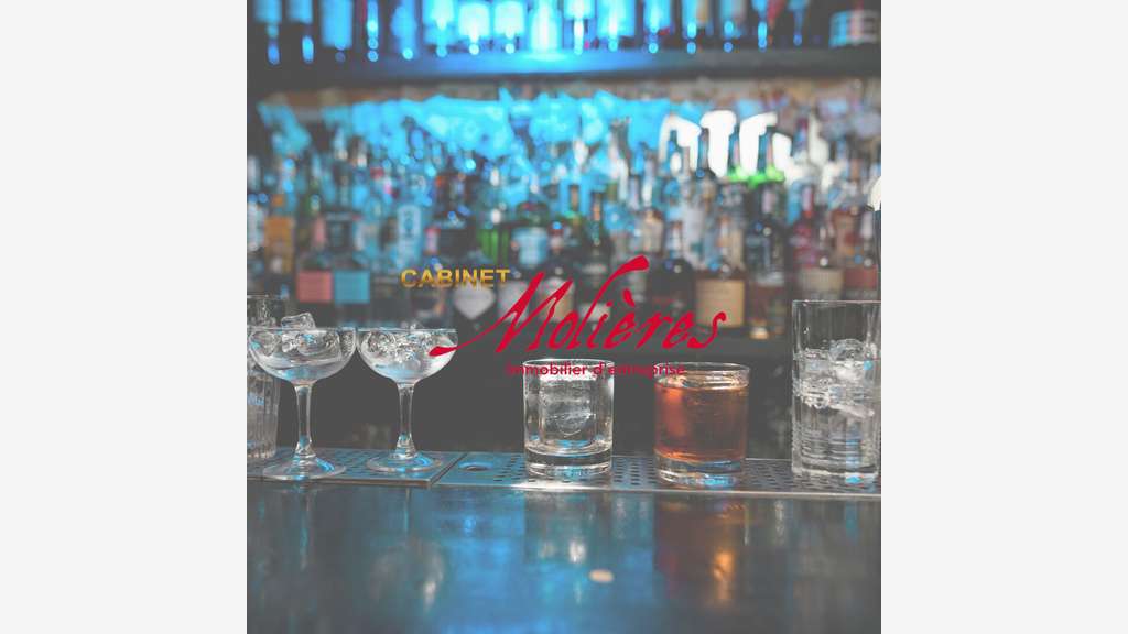 Vente bar restaurant avec licence IV à Toulouse