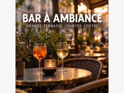 Bar à ambiance grande terrasse Nantes centre