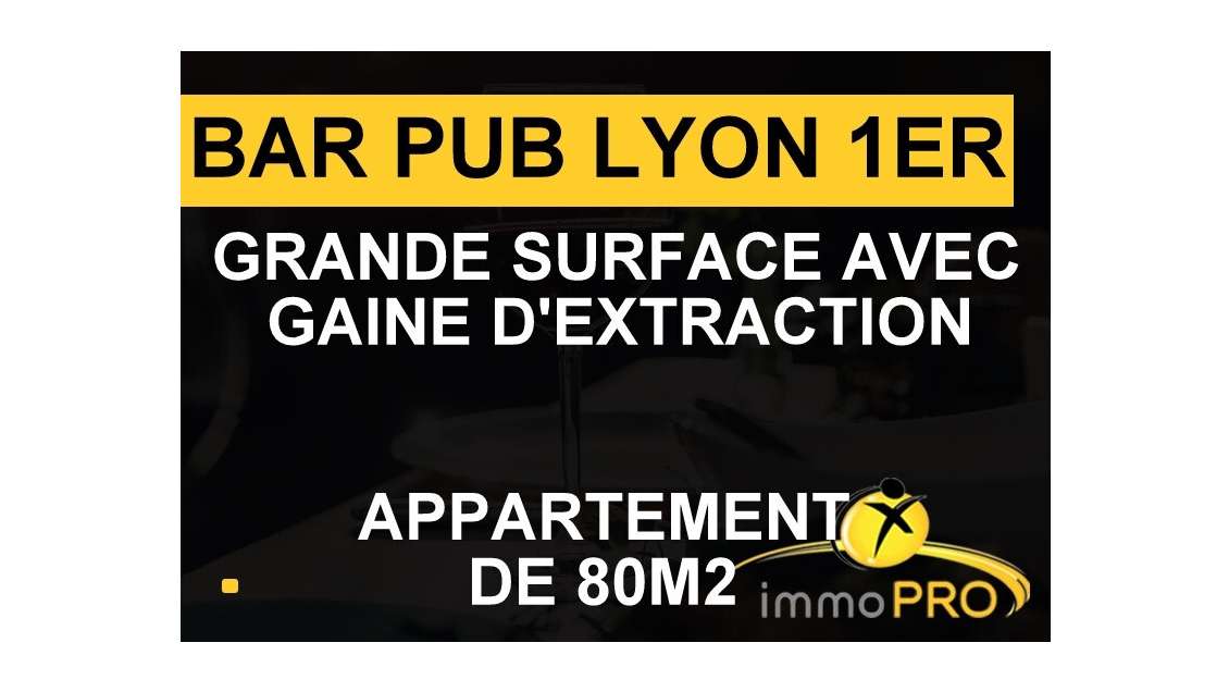 Vente bar pub festif en rue animée de Lyon