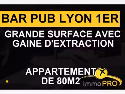 Vente bar pub festif en rue animée de Lyon
