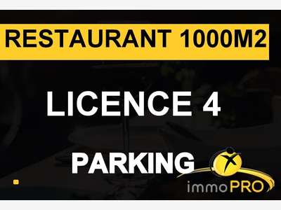 Vente bar restaurant parking privatif Villefranche