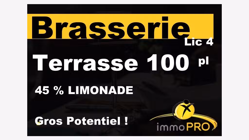Vente brasserie lic 4 terrasse ombragée à Valence