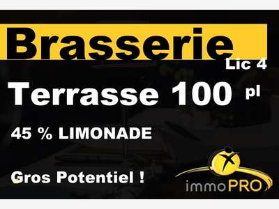 Vente brasserie lic 4 terrasse ombragée à Valence