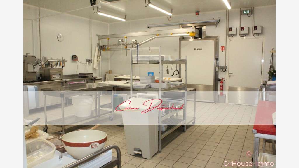 A vendre boucherie charcuterie traiteur Chabanais