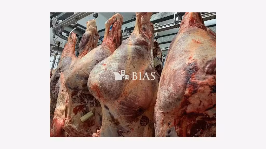Vente boucherie charcuterie dans le Finistère