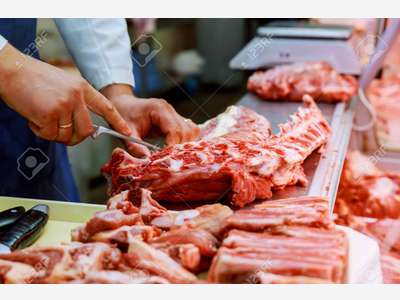 Vente boucherie charcuterie traiteur en Sud Loire