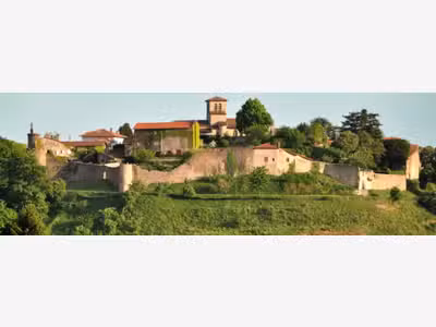 Vente boucherie en region Roannaise