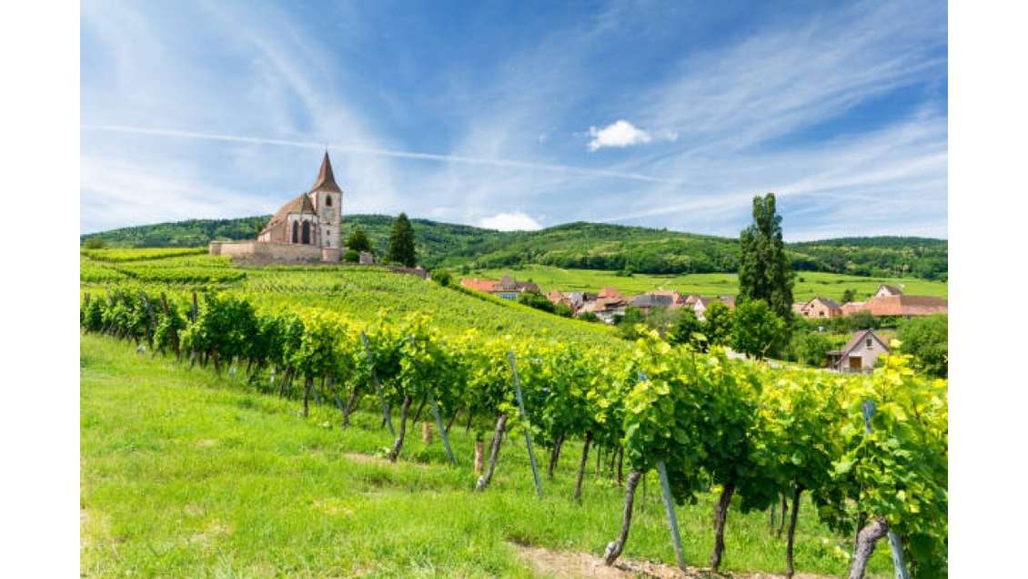 Boulangerie à vendre entre Strasbourg et Sélestat
