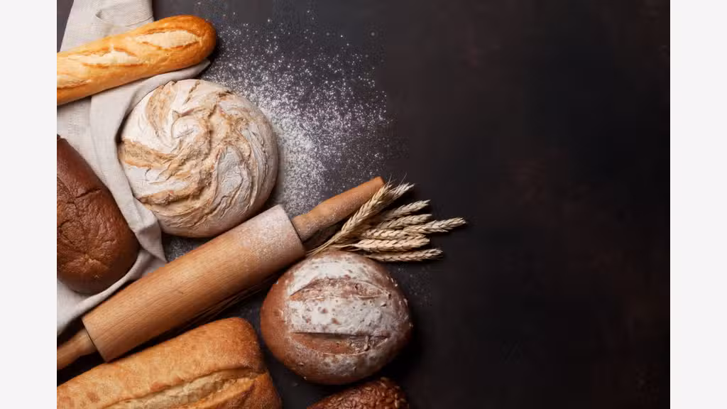 AV boulangerie empl N°1 et lognt confort Dunkerque