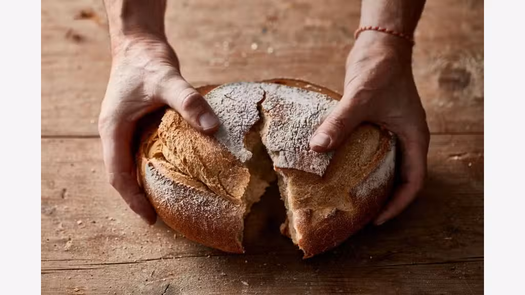 Boulangerie à vendre, fort potentiel, Gironde