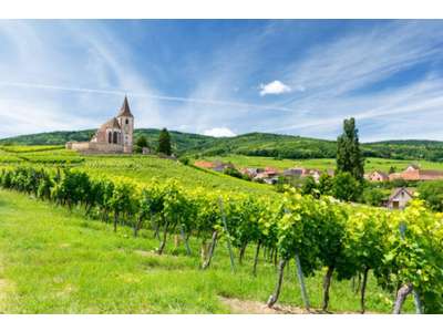 Vente Boulangerie - Pâtisserie à Soultzmatt