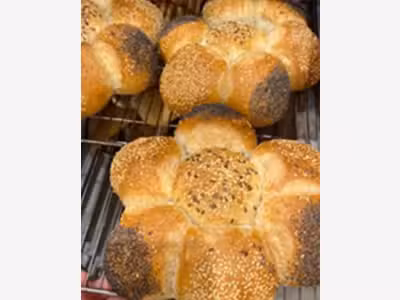 Vente boulangerie pâtisserie parfait état Hérault