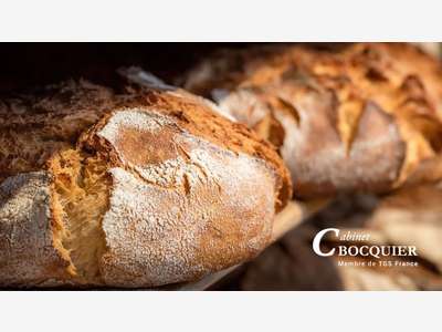 A vendre boulangerie pâtisserie en Ille et Vilaine