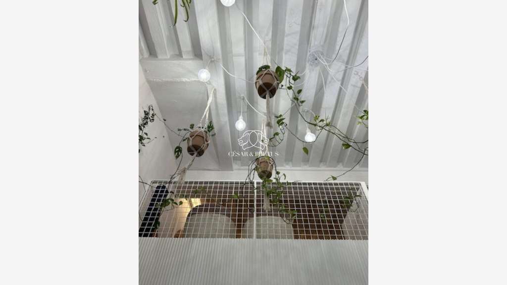 Vente salon de thé 50m² à Lyon 69002 presqu'ile