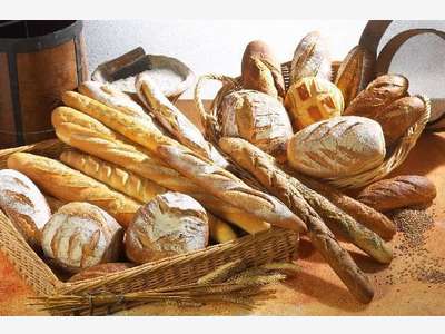 Boulangerie artisanale à vendre dans le 49