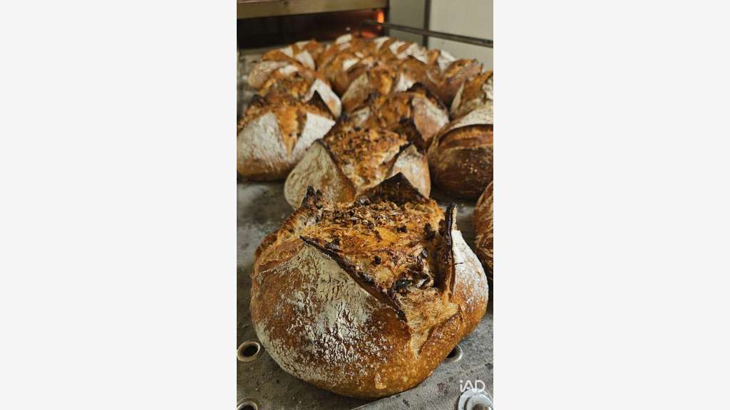 Vente boulangerie en liquidation à Maisse centre