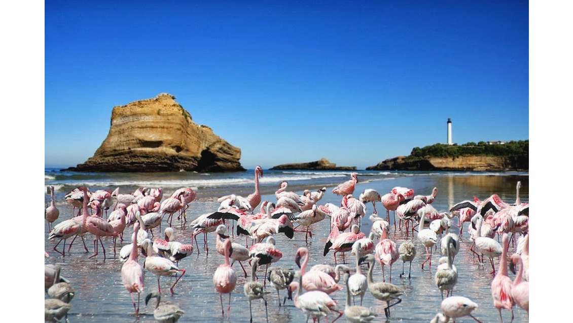 URGENT, boulangerie à vendre, Saint-Jean-de-Luz
