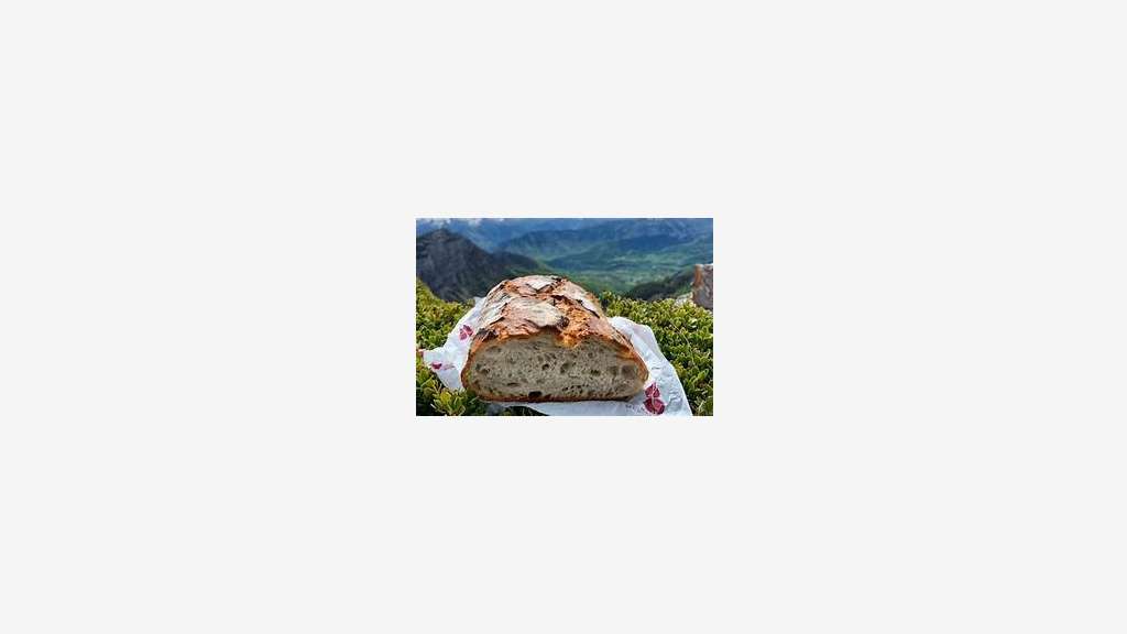 Vente boulangerie au coeur du Pays Basque