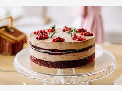 Vente pâtisserie dans gros village touristique 66