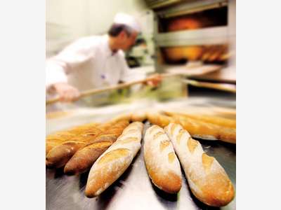 Centre de production/pâtisserie à vendre