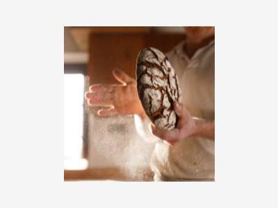 Vente boulangerie patisserie artisanale