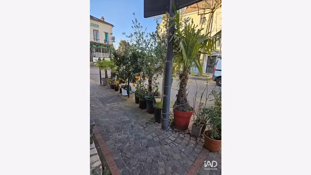 Vente boutique de fleurs à Rueil-Malmaison