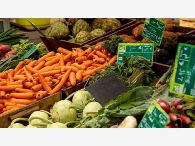 Vente boutique primeur sur axe passant en Corrèze