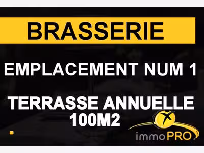Vente brasserie emplacement n°1 à Villeurbanne