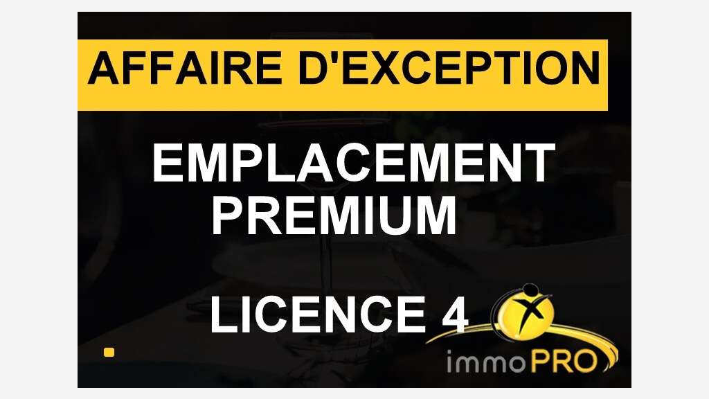 Vend brasserie empl exceptionnel à Lyon presqu'ile