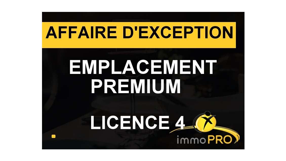 Vend brasserie empl exceptionnel à Lyon presqu'ile