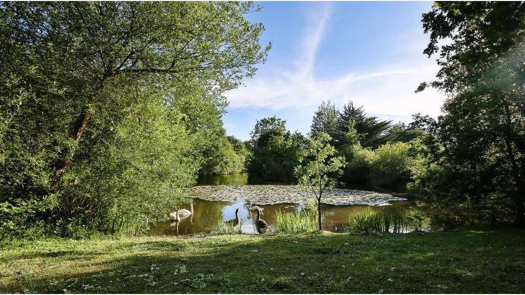 Camping au vert 3* à vendre