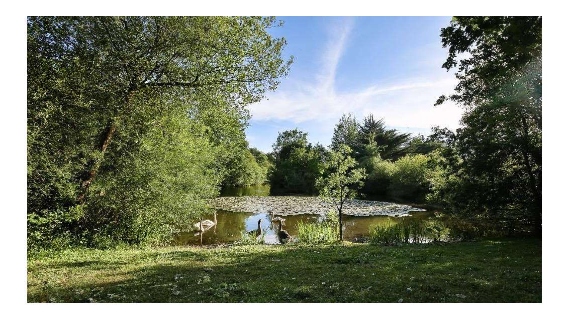 Vente camping 3 *** en Centre Val de Loire