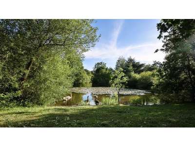 Vente Camping dans le Centre