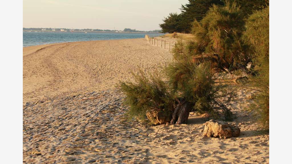 Camping 4 **** à vendre en rétro-littoral !