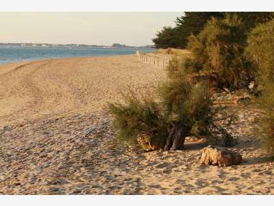 Camping 4 **** à vendre en rétro-littoral !