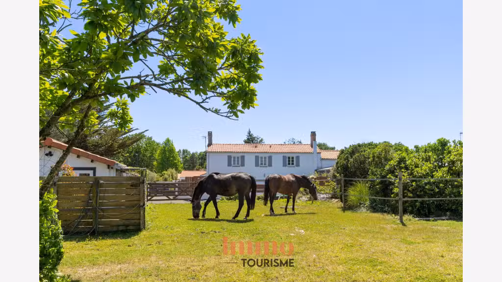Cède élégant domaine avec 2 gîtes piscine Vendée