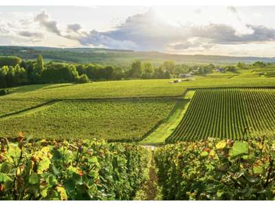 Vente Hôtel - Hôtel restaurant dans l'Aube