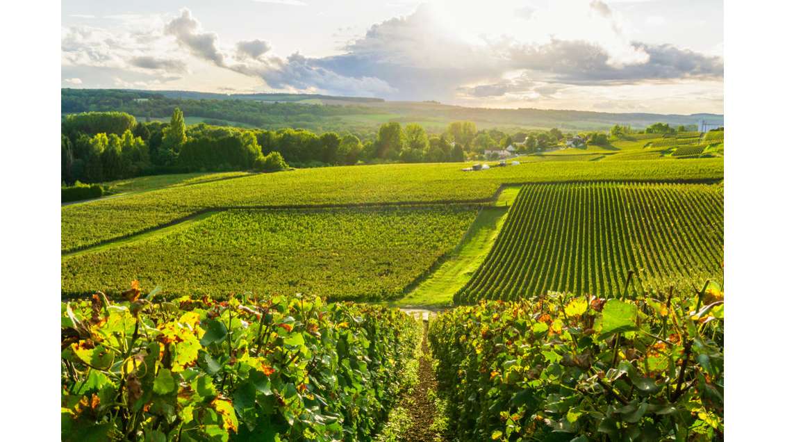 Château-Hôtel Spa restaurant à vendre en Champagne