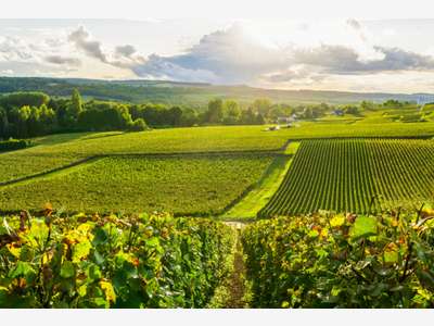 Château-Hôtel Spa restaurant à vendre en Champagne