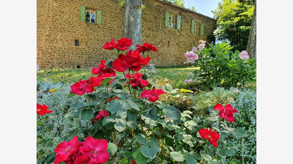 Château, Gîte, B&B, Mariages 18ha dans le sud