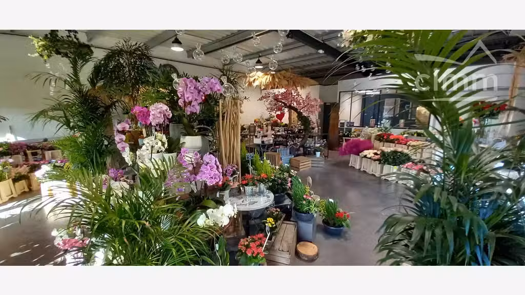 A vendre fonds de commerce fleurs à Blois