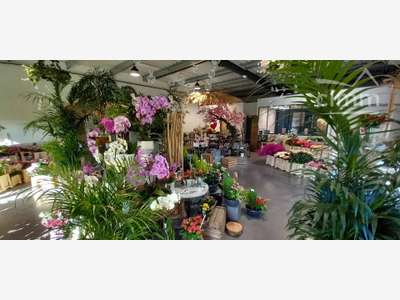 A vendre fonds de commerce fleurs à Blois