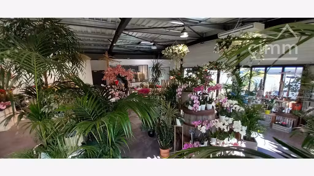 A vendre fonds de commerce fleurs à Blois