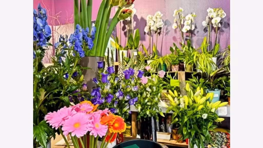 A vendre commerce de fleurs à Colombes (92)