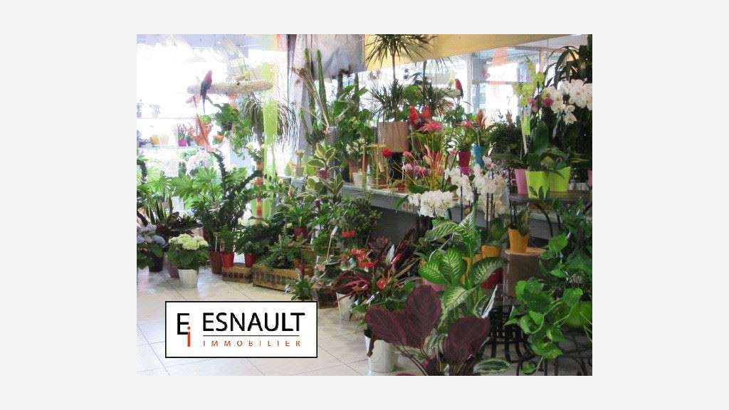 Vente FDC fleuriste bien situé dept Hérault