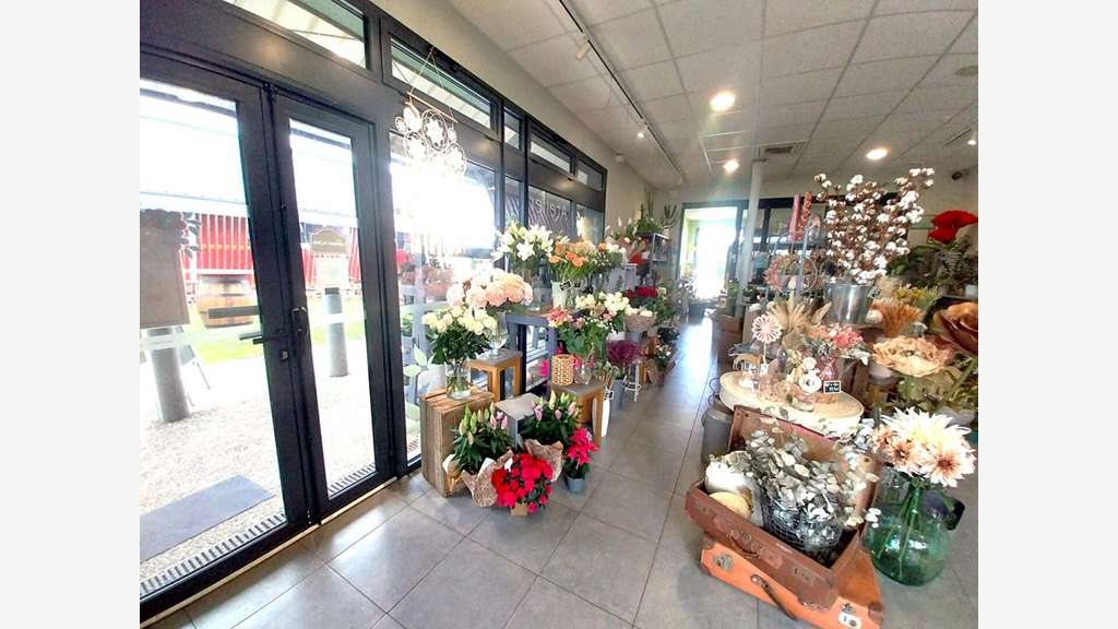 Reprise fleuriste plantes déco secteur Saintes