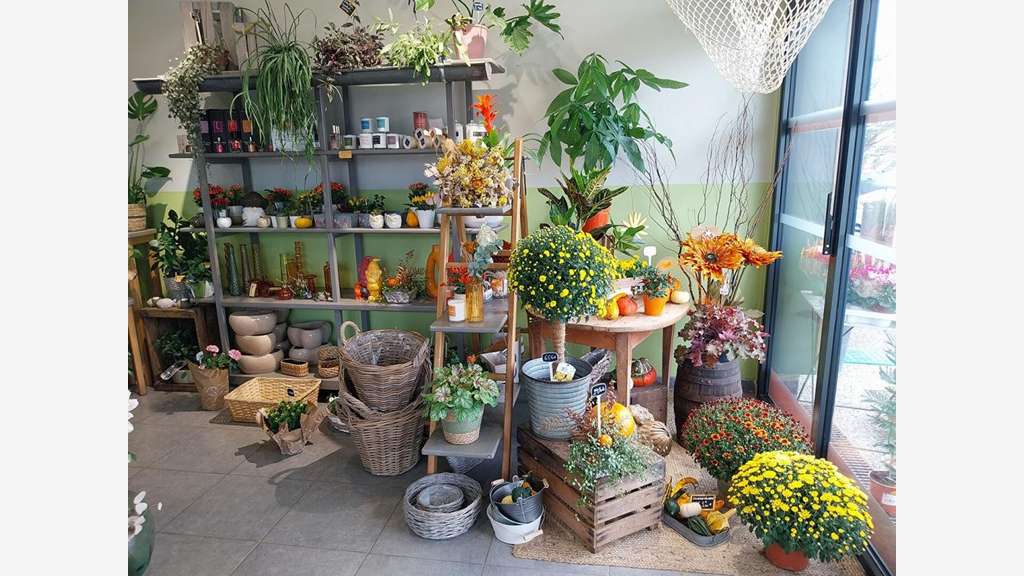 Reprise fleuriste plantes déco secteur Saintes
